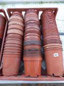 Brown Pots