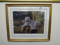 Framed Limited Edition Steven Gayford Print - The Albino Family