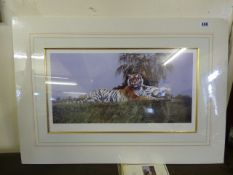 Unframed Limited Edition Print by Spencer Hodge Entitled Sleeping it Off