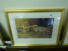 Gilt Framed Limited Edition Steven Gayford Print - Lions at Rest