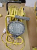 110 Volt Extension Lead on Reel & Halogen Work Lamp
