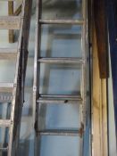 *3-in-1 Adjustable Ladder