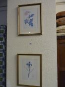2 Framed Flower Prints