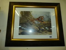 Framed Print Depicting a Tiger