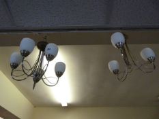 5 Branch & 3 Branch Hanging Ceiling Light