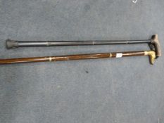 2 Walking Sticks