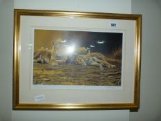 Framed Steven Gayford Print - Tigers at Rest