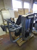 *Matrix Seated Leg Curl