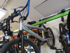 Boys Cycle