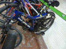 Cape Fear Concept Cycle