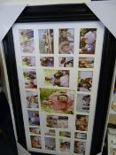 *Opening Collage Picture Frame