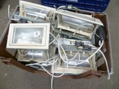 12 x tungsten display lights