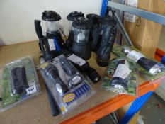 *Large Quantity of Torches & Lanterns