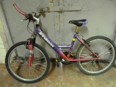 Lady's Storm Mountain Bike in Pink & Purple