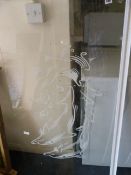 Shower Screen with Dolphin Display