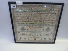 Framed Sampler