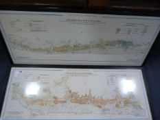 2 Framed Vintage Vineyard Maps
