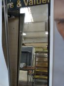 Wall Mounted Full Length Mirror