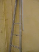 Aluminium Window Cleaners Ladder