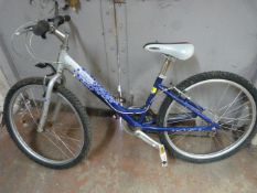 Starz Lady's Cycle Blue & Silver