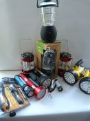 *Large Quantity of Torches & Lanterns
