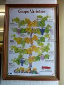 Framed Great Varieties Print