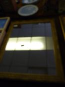 Gilt Framed Mirror