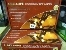 2 Sets of LED Festive Lights