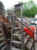 10 Rung Step Ladder