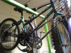 Lady's Apollo Mountain Bike - Green