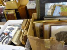 Box containing Various Books