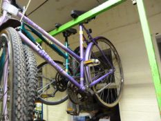 Lady's Free Spirit Traditional Style Cycle - Purple