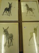 4 Framed Animal Prints