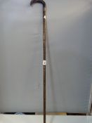 Tortoise Shell Walking Stick