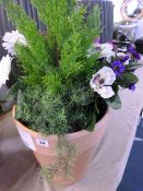 *ARTIFICIAL FLOOR PLANTER