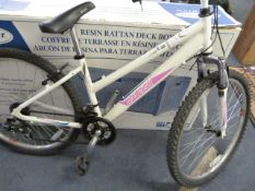 *RALEIGH SYNCRO   26/17