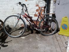 Ladies Pro Bike Enterprise - No Seat