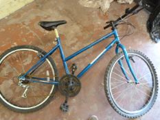 Townsend Ladies Mountain - Turquoise