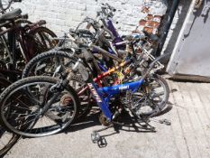 Collection of Men and Women Bike Frames