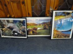 Set of 3 Framed Wildlife & Country Scene Photographs