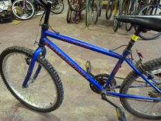 Blue Mountain Bike Santa Monica