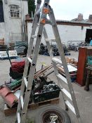 Multi-Purpose Ladder & Spare Wheel