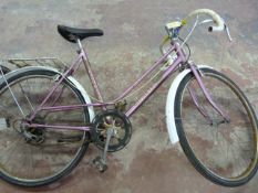 Girls Cycle Euro Star