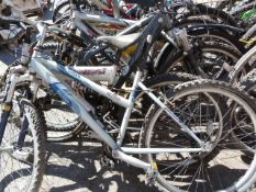 5 Gents Mountain Bikes