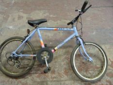 Raleigh Extreme Childs Cycle - Purple