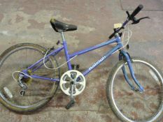 Girls Purple Raleigh Calypso Bike