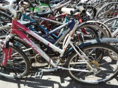 5 Mountain Bike - Mixed