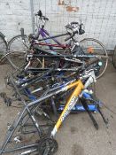 Assorted Cycle Frames