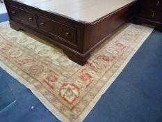 Traditional Pattern 10 x 8 Floor Rug