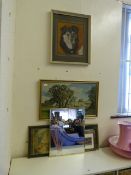 Collection of Framed Prints